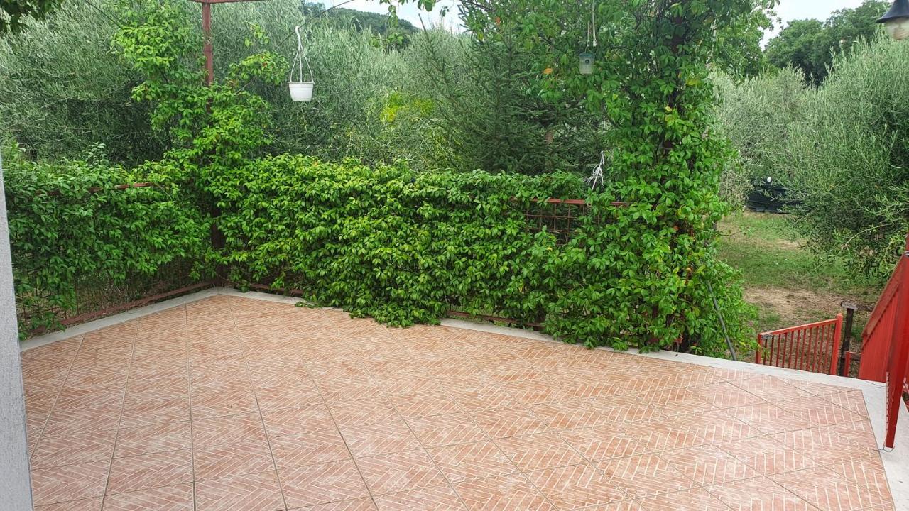 Ferienwohnung Nonno Atti Castel San Lorenzo Exterior foto